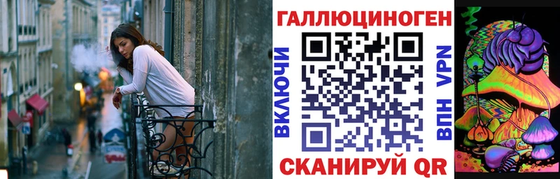 купить закладку  Губаха  Псилоцибиновые грибы GOLDEN TEACHER 